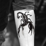 2016 New 3D tatuagem temporária à prova d'água Black Scorpion Etiqueta Non-toxic Body Art Tattoo