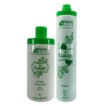 1 Kit Completo Escova de Quiabo Perfil Hair com Shampoo de 300 Ml e Ativo 1 Litro
