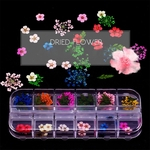 12 Mulheres / caixa de grade Nail Art Box Exquisite Charming Flor seco prego Ferramenta DIY Redbey