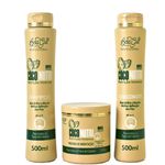 5 Kits Coco Nutri Profissional Para Cabelos Completo