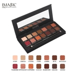 14 cores Matte Shimmer Clássico Pearly Eyeshadow Palette Texturizado Cores quentes