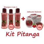 25 Kits Sabonete e Shampoo 2 em 1 Pitanga Hotel Pousada SPA