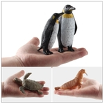 5 pçs / set Modelo Biológico Marinho Vida no Oceano Brinquedo Educação Animais Marinhos Tartaruga Selo Pinguim Brinquedos