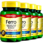 6 Potes Ferro 100% IDR 60 cápsulas Maxinutri
