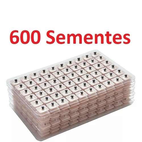 600 Sementes Vaccaria Auriculotera Acupuntura Auricular Luva