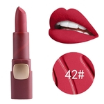 7301-043B Matte Lipstick longo maquiagem duradoura Batom Lip Maquiagem
