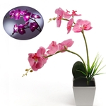 9LEDs elegante Phalaenopsis Lâmpada do potenciômetro com Pink Petals para Home Office Table Decor