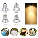 AC110-120V 75W UVA / UVB Bulb Pet Reptile Broder Lamp