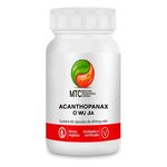 Acanthopanax - Ci Wu Jia 60 Cápsulas - Vitafor