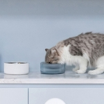 OEM Aço inoxidável Pet Alimentando bacia com base antiderrapante para Cães Gatos