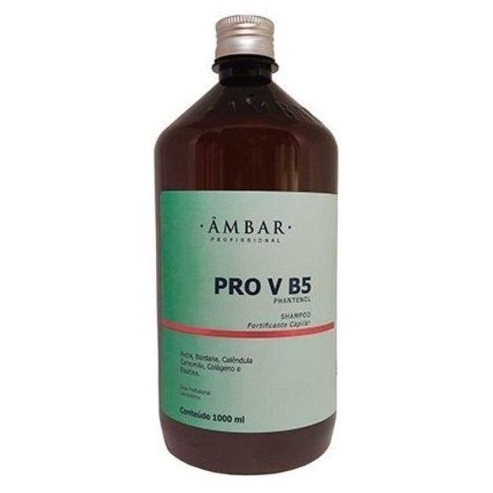 Âmbar Pro V B5 Panthenol Shampoo 500ml