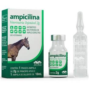 Ampicilina Veterinária Injetável 2G Vetnil - 10 ML