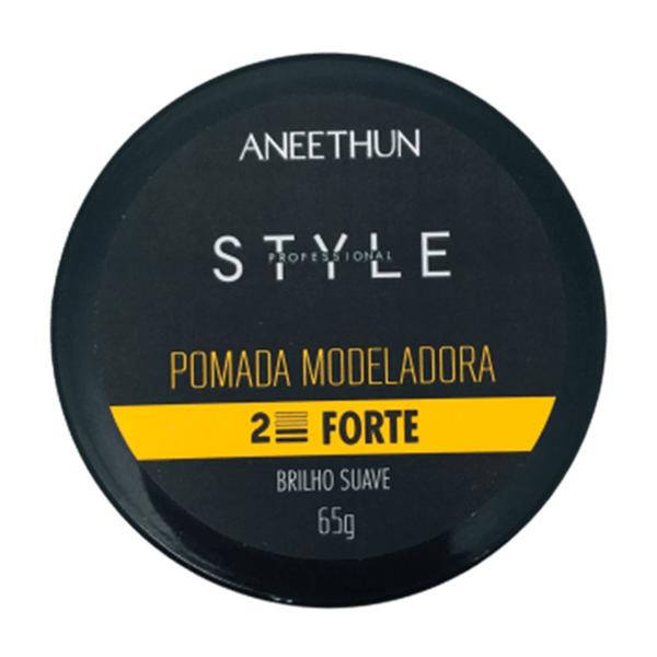 Aneethun Pomada Style Fixadora Forte - 65g