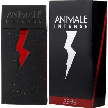 Animale Perfume Masculino Animale Intense For Men Toilette 100ml