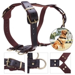 Arnês de cão de couro ajustável Couro Médio Grande Pet Pup Collar Lead Collar