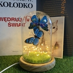 Tampa de vidro ¨¢rvore de fogo USB Flor de prata noite Lamp 01 Luz borboleta azul