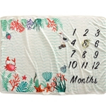 Bebê mensal Milestone Blanket suporte da foto do recém-nascido macio velo Milestone Fotografia marcador fundo Blanket presente do chá de bebê