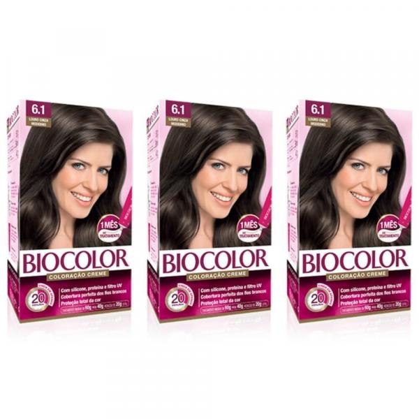 Biocolor Coloração Kit 6.1 Louro Cinza Intenso (Kit C/03)