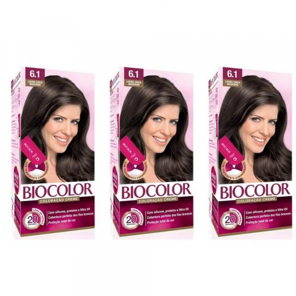 Biocolor Coloração Mini 6.1 Louro Cinza Moderno (Kit C/03)