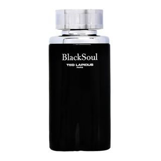 Black Soul Ted Lapidus - Perfume Masculino - Eau de Toilette 50ml