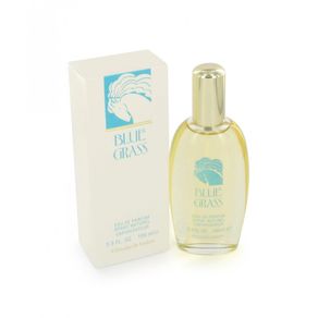 Blue Grass de Elizabeth Arden Eau de Parfum Feminino 100 Ml