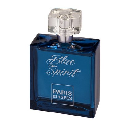 Blue Spirit Paris Elysees - Perfume Feminino - Eau de Toilette 100ml