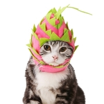Bonito Forma Dragon Fruit Pet Chapelaria chapéu para cão gato Cosplay Partido Vestir-se Props