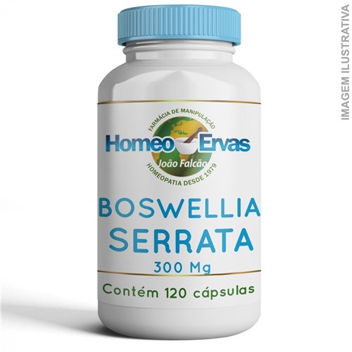Boswellia Cerrata 300Mg - 120 Cápsulas