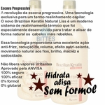 Botox Redutor de Volume Brazilian Keratin Natural Liss Toollon Professional