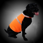 Bras?o reflexivo roupas para cachorros fluorescente Seguran?a Vest Dog Outdoor Vestu¨¢rio Dog