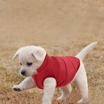 Brasão Dog Pet Inverno simples Jacket Dog moda Aqueça Dog Vest tempo frio Pet Vestuário
