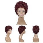 Short Hair For Women Sexy Women Girl Wig Wavy Curly Synthetic Fashion Wig Hot
