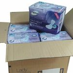 Caixa Absorvente Tena Lady Discreet Maxi Night (8 pacotes)