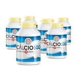 Cálcio 500 + Vitamina D - 06 Frascos Com 120 Cápsulas