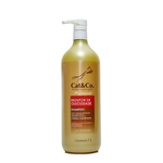 Cat & Co Profissional 1 L Shampoo redutor de oleosidade