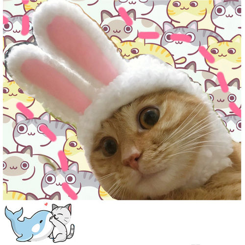 Cat Funny Pet Coelho Quente Forma Hat Cosplay Foto Props