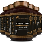 Cavalinha Original - 100% Vegano - 300mg - 05 Potes