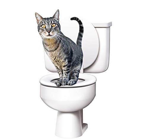 Citikitty Bandeja Higienica Sanitario Treinamento para Gatos