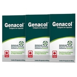 Colágeno Hidrolisado 90 cápsulas Genacol (Kit com 3 unidades)