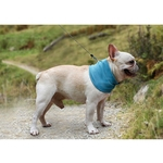 Coleira de cachorro de envoltório de toalha respirável de lenço de resfriamento instantâneo para animais de estimação de verão