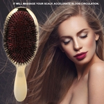 2 Colors Oval Nylon Bristle Hair Massage Comb Anti-Static Scalp Hair Brush