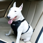 Confortável Assento de Veículo ajustável Belt respirável Collar cinto de segurança de suprimentos cão de estimação
