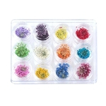 Cores 12/Set Mixed Flores Secas Nail Art Beleza Dicas Diy Nail Art Stickers