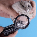 Cortador de unhas pequeno animal de estimação com lupa para Hamster Hedgehog Chinchilla Guinea Pig