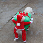 Costumes de Natal Cão engraçado Papai Noel do presente do cão roupa do filhote de cachorro de veludo casaco quente roupas de inverno Pet