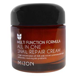 Creme Anti-idade Mizon All-in-One Snail Repair Cream 75ml