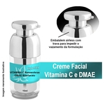 Creme Facial Antioxidante e Anti Rugas com Nano Esferas de Vitamina C e DMAE Bitartarato - 15 ml Airless Prata - Phyto Flora