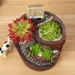 Cute Mini Succulent Plant Flower Flower Bonsai Pot Micro Landscape Garden Decor