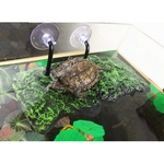 Decoração de aquário de doca de plataforma de ilha flutuante de tartaruga para tartaruga de réptil