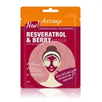 Dermage Máscara Facial Antioxidante Resveratrol & Berry 10g